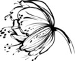 white flower bud