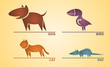 Pets, abstract, icons