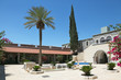 A  patio, palm and cypress trees