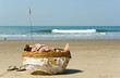 Basket of coconut seller in Vagator beach Basket of coconut seller in Vagator beach