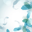 feather background
