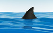Shark attack in the sea, danger for all swimmers and surfers !
