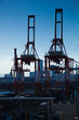 YOKOHAMA[area-D]_10.dng_10