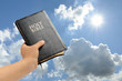 holy bible