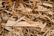 Photo: firewood firewood