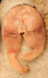 fish market