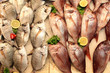 fish market