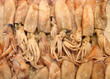 calamari