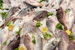 fish market