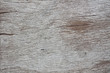 Texture of wood