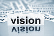 Vision