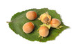 Hazelnuts on White