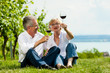 Glückliches Paar trinkt Wein am See im Sommer