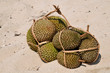 Foto: Durian Durian