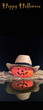 Happy Halloween.