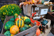 Herbstliche Dekoration mit Blumen und Kürbis Herbstliche Dekoration mit Blumen und Kürbis