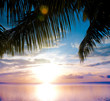 Outdoor Paradise Beach Outdoor Paradise Beach