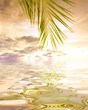 Beach Sunset Beach Sunset