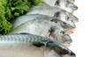 Fish with greens isolated on white background