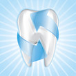 Tooth Set 5