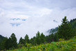 fog landscape with forest mountains