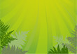 green fern under sun illustration