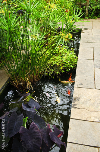 Photo: Lush green garden Lush green garden
