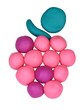plastic fugure of raspberry