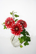 Photo: Dahlien in einer Glasvase Dahlien in einer Glasvase