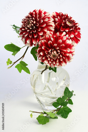 Photo: Blumenvase mit Dahlien Blumenvase mit Dahlien