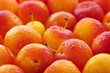 Photo: Plums background Plums background