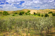 Photo: Sand dunes in Manitoba Sand dunes in Manitoba