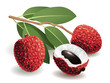 Lychee Fruit