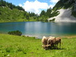 natur paradies natur paradies
