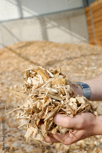 Foto: Hand mit Holz Hackschnitzel Hand mit Holz Hackschnitzel