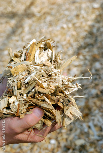 Foto: Hand mit Holz Hackschnitzel Hand mit Holz Hackschnitzel