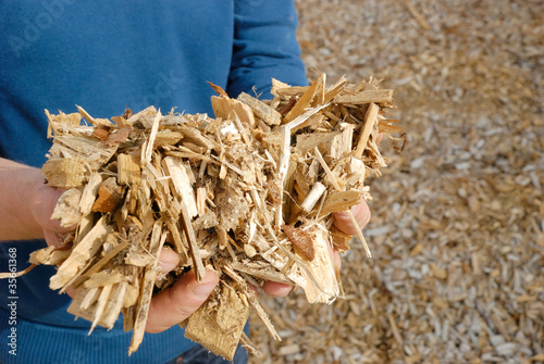 Photo: Hand mit Holz Hackschnitzel Hand mit Holz Hackschnitzel