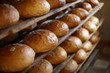 Bakery, bread.