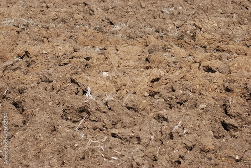 Photo: agriculture agriculture
