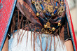 Sardinia, Italy: Redentore festival. Detail of a dress