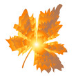 Automne