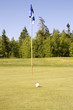 Golf ball and Flag