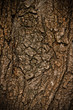 texture. background