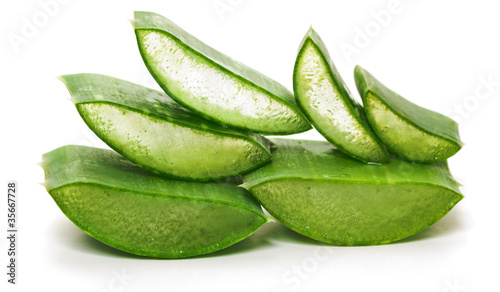 Photo: Aloe Vera Aloe Vera