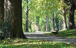 herbst im park