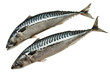 raw fish