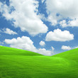 green field and blue sky