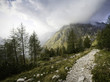 Follow the path. Do not deviate.