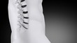 Video: Spine intervertebral discs scan in walking man Spine intervertebral discs scan in walking man