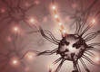 Nerve Cell Pulse